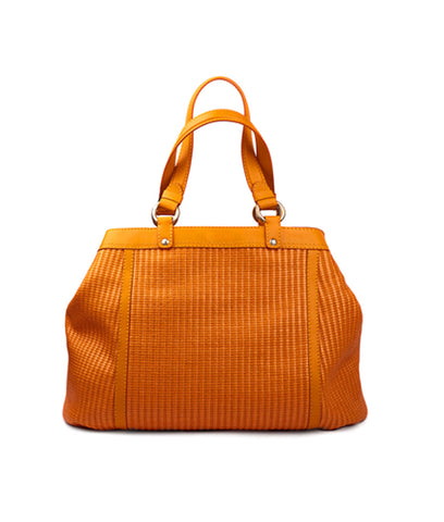 Designer Handbag